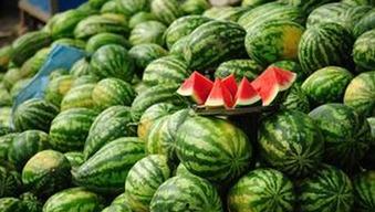 吃瓜爆料 热门大瓜每日必吃大瓜,吃瓜群众必看！